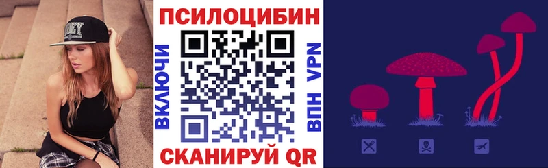 Галлюциногенные грибы Psilocybine cubensis Можайск