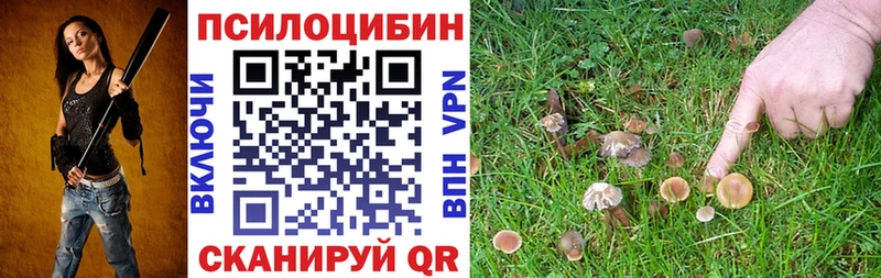 Галлюциногенные грибы Cubensis  кракен как зайти  Можайск 