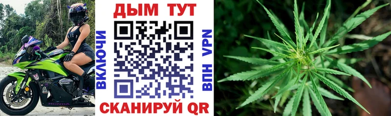 Шишки марихуана Bruce Banner  купить закладку  darknet клад  Можайск 
